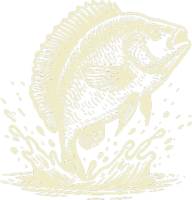 fishing-guide-sketch fishing-guide-sketch