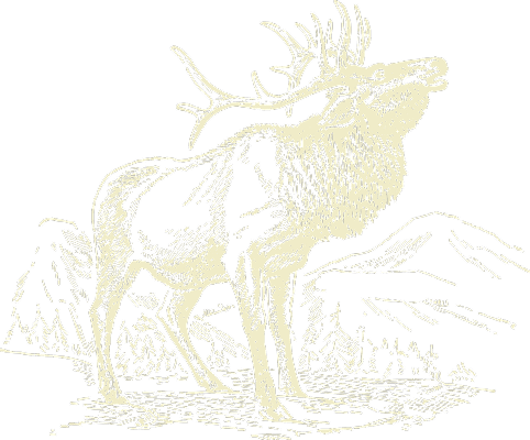 hunting-elk-sketch hunting-elk-sketch